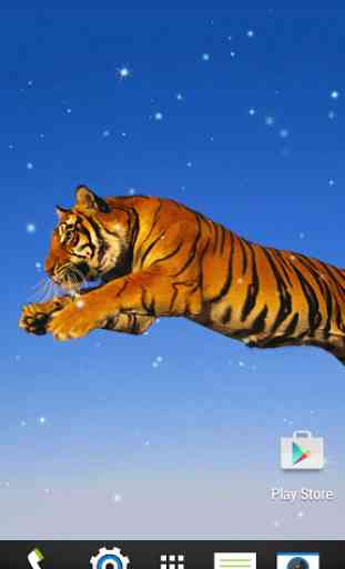 Tigres Fond d'écran Animé 1