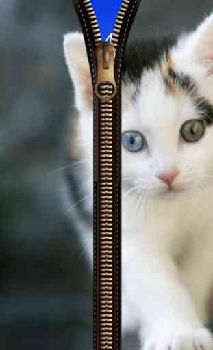 Cat Zipper verrouillage 2