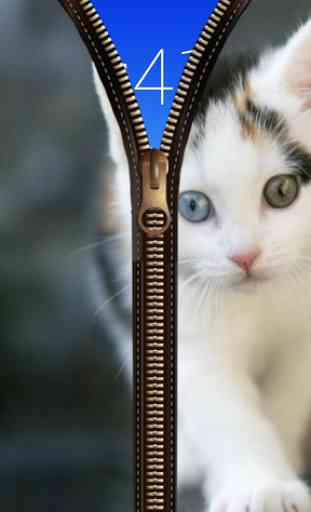Cat Zipper verrouillage 3