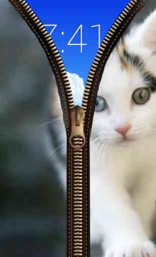Cat Zipper verrouillage 4