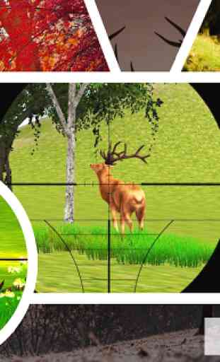 Cerf Jungle Sniper Hunt 1