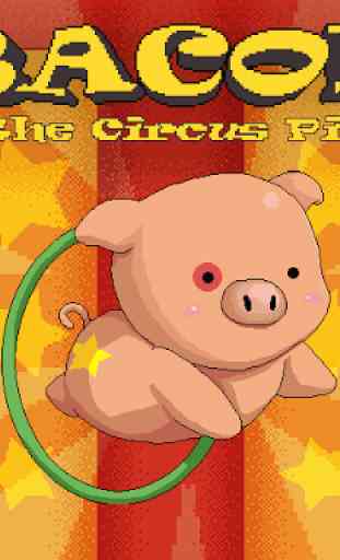Circus Pig 3