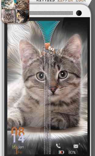 Kitties Zipper verrouillage 3