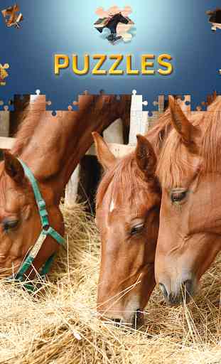 Puzzle de chevaux gratuit 2017 3