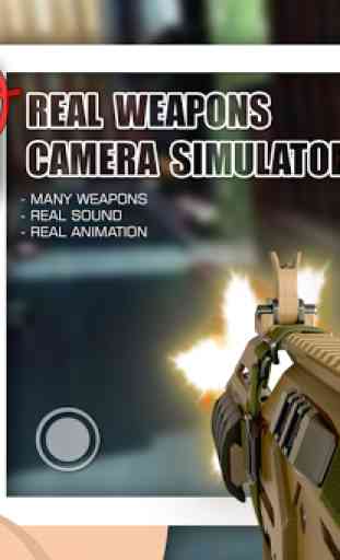 Simulateur armes de la caméra 1