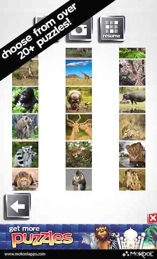 African Safari Puzzles 1