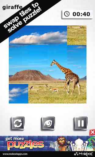 African Safari Puzzles 3