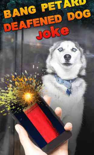 Bang Petard Deafened Dog Joke 1