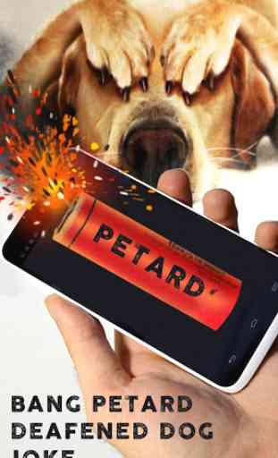 Bang Petard Deafened Dog Joke 3