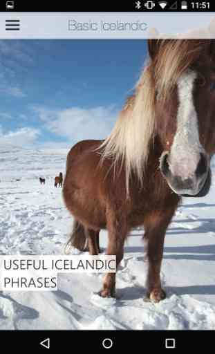 Guide de voyage Islande 4