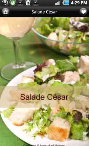 iCuisine Salades Lite 4