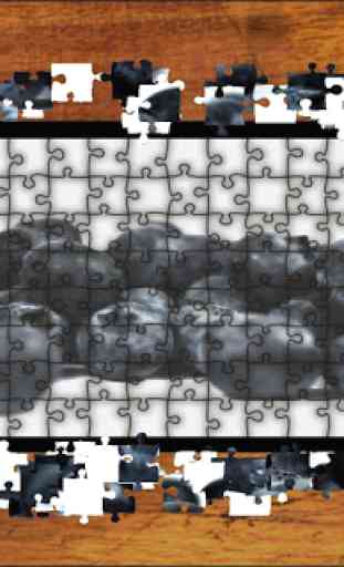 Jigsaw Puzzles Fruits World 3