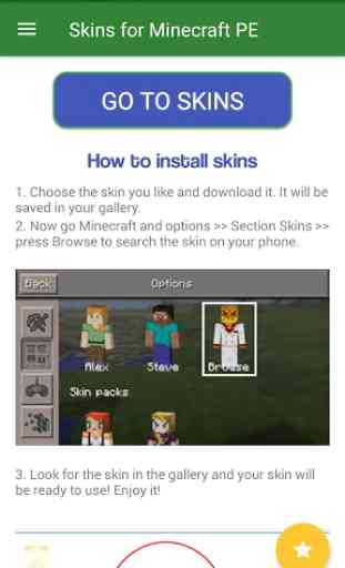 Top Skins for Minecraft PE 3