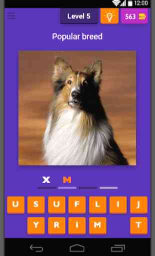 Dog Breeds Quiz - Guess Dods 1