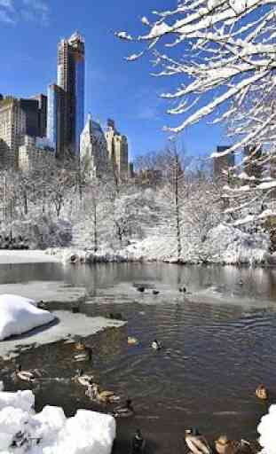 New York City sous la neige HD 2