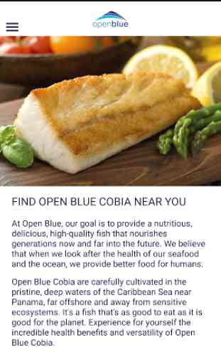 Open Blue Cobia 2