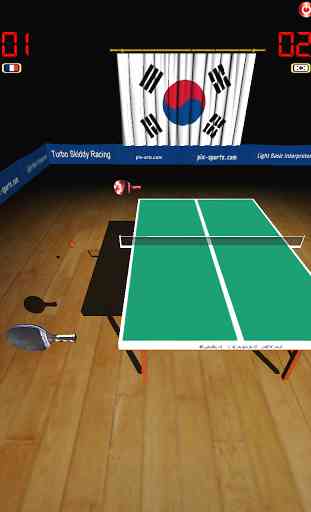 Pro Tennis On Line Ping Pong 2
