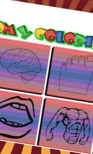 Anatomie Coloring Book 2