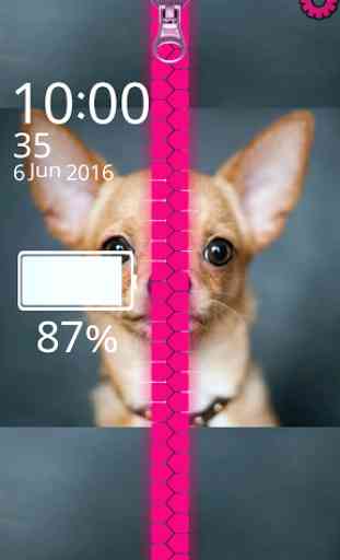 Chihuahua Zipper Lock Screen 2