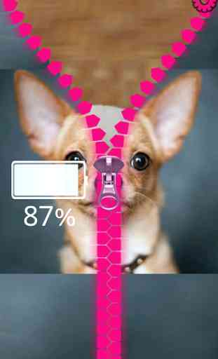 Chihuahua Zipper Lock Screen 4