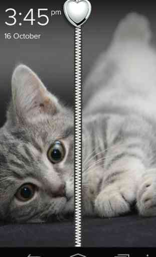 Cute Kitty Zipper Lock Screen 1