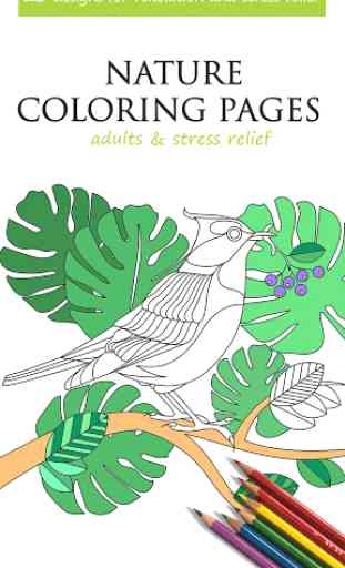 Nature Coloriage pour Adultes 2