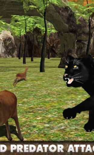 Real Black Panther 2