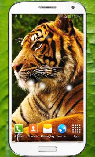 Tigre du Bengale Fond d'écran 1