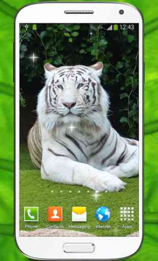 Tigre du Bengale Fond d'écran 2