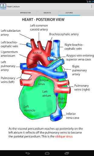 Anatomy Lectures - the heart 4