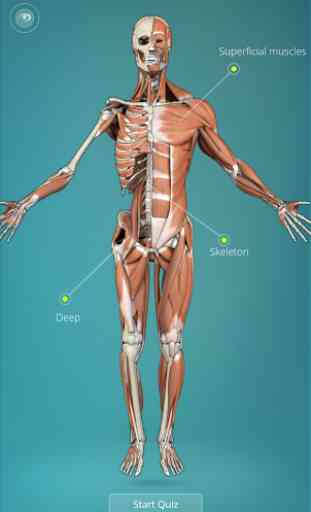 Anatomy Quiz 3D  - human 1
