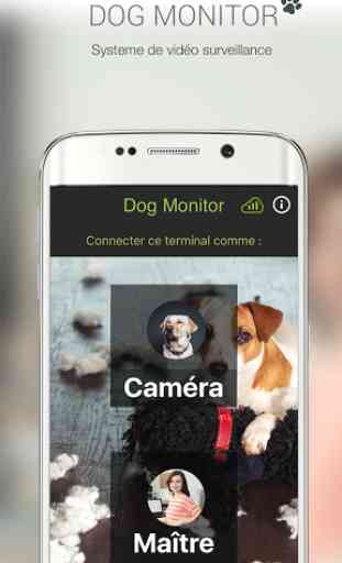 Dog Monitor 1