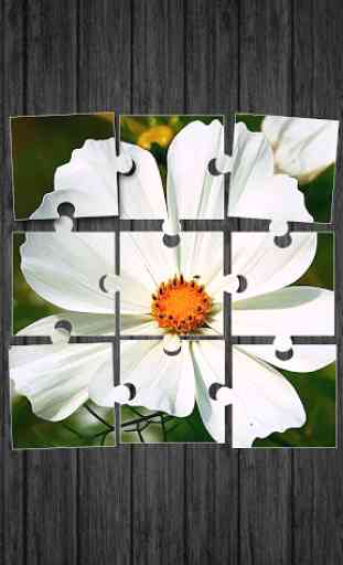 Fleurs Jeu de Puzzle 1
