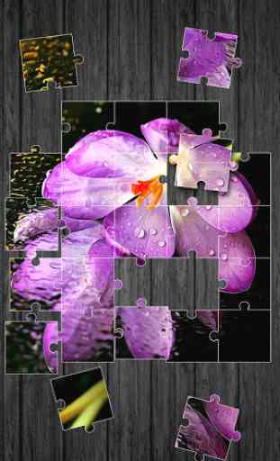 Fleurs Jeu de Puzzle 2
