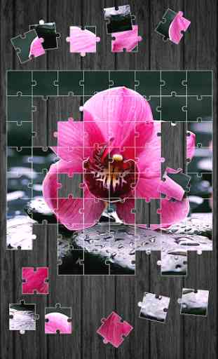Fleurs Jeu de Puzzle 4