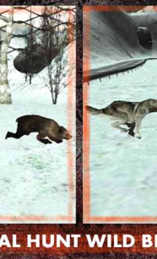 Wild Wolf Attaque Simulator 3D 2
