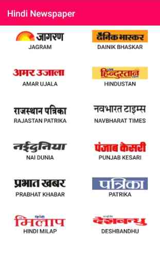 Hindi Newspapers 1
