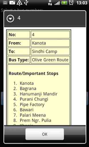 Jaipur Bus Info 3