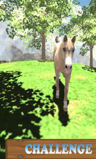 Wild Horse Mountain Simulator 2