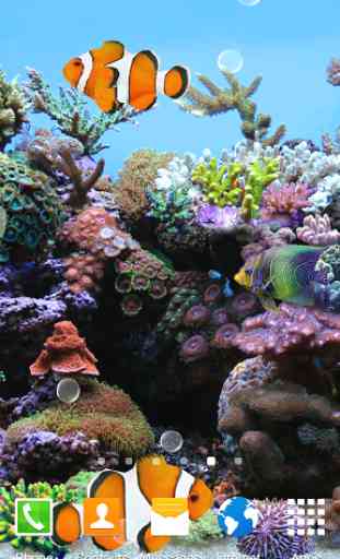 Coral Fish 3D Live Wallpaper 1