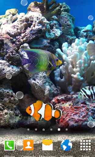 Coral Fish 3D Live Wallpaper 3