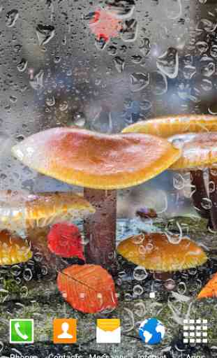 Mushrooms Live Wallpaper 1