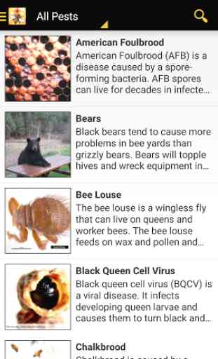 Bee Health 1