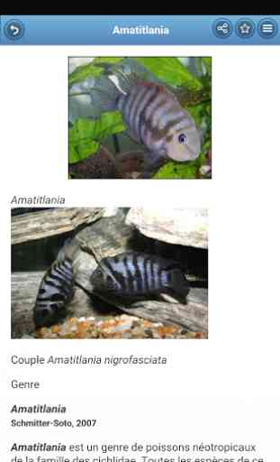 Les poissons d'aquarium 2