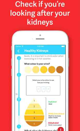 My Kidneys, My Health handbook 3