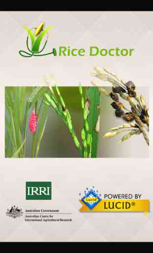 Rice Doctor 1