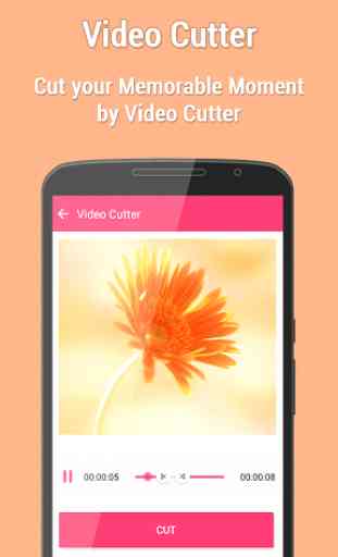 Video Cutter 3