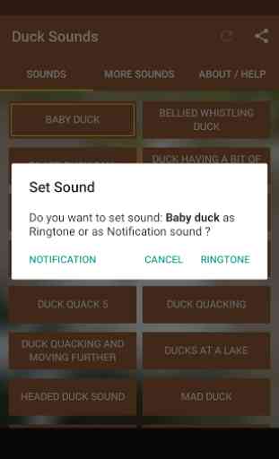 Duck Sounds 2