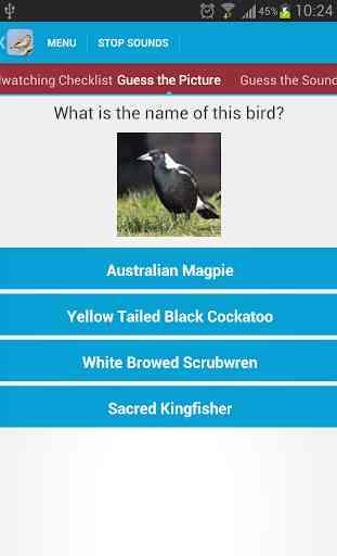 Australian Birds Sounds 4
