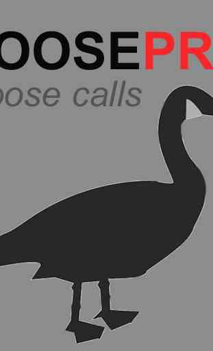 Goose Calls for Hunting 1